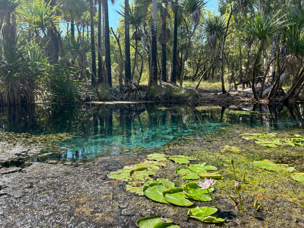 Bitter Springs, so&nbsp;sweet